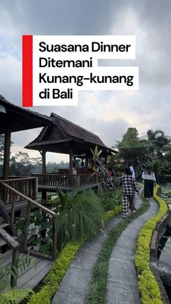 Video: Rekomendasi Tempat Dinner Romantis Ditemani Kunang-kunang di Bali