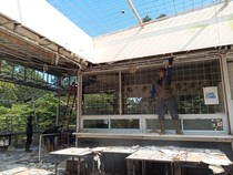 Langgar Aturan Lingkungan, 8 Bangunan di Puncak Dirobohkan