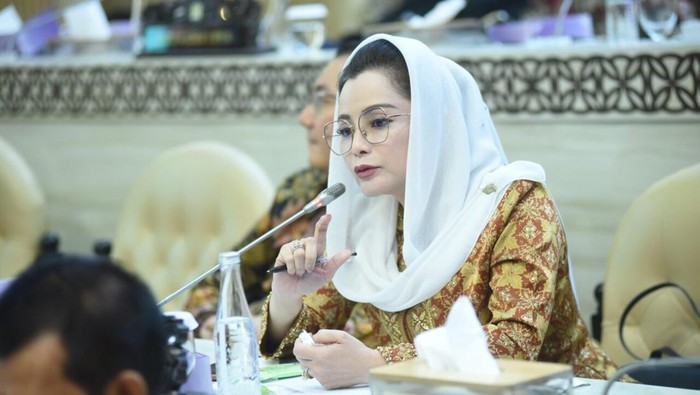 Angota Komisi V DPR RI Fraksi Gerindra, Novita Wijayanti