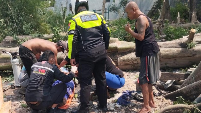 Evakuasi Tolip, pria penebang pohon di Kota Mojokerto yang meninggal usai tertimpa pohon yang dia tebang bersama anak dan rekan kerjanya.