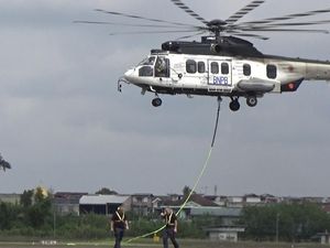 Hadapi Kemarau, Kemenhut Perkuat Sinergi Pencegahan Karhutla di Jambi