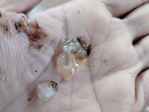 Heboh Hujan Es Guyur Boja Kendal, Ini Penjelasan BMKG