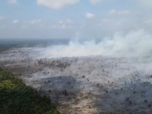 Video: BNPB-Polri Kerahkan 5 Helikopter untuk Atasi Karhutla di Jambi
