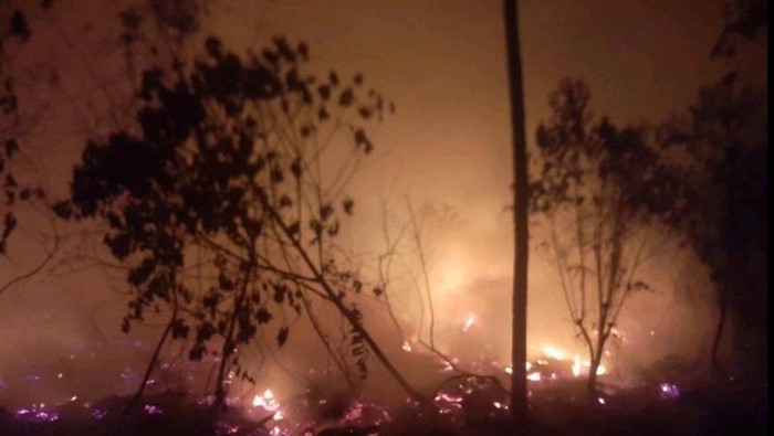 Karhutla lahan gambut di Desa Suka Jadi, Muara Enim tadi malam.