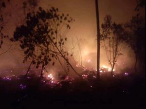 Lahan Gambut 4 Hektare di Muara Enim Terbakar