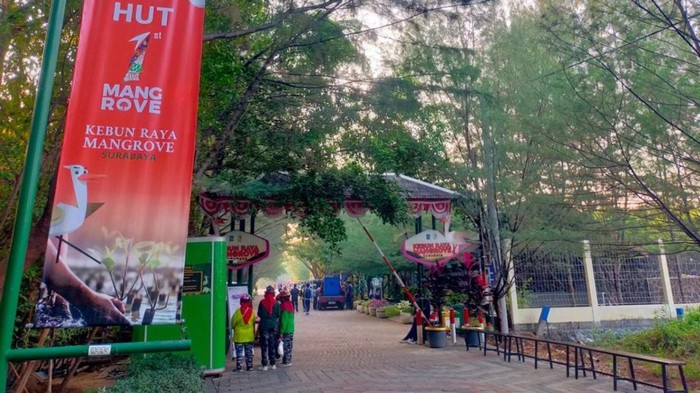 Kawasan Kebun Raya Mangrove Surabaya.