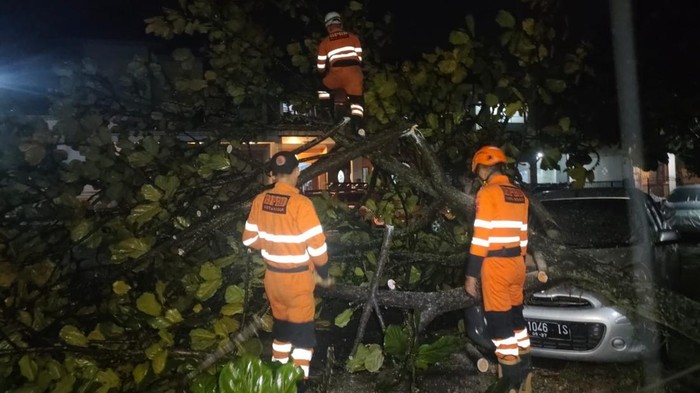 Pohon tumbang timpa mobil warga di Bogor