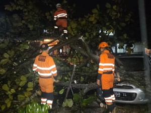 Hujan Deras-Angin Kencang di Bogor Bikin Pohon Tumbang hingga Timpa Mobil