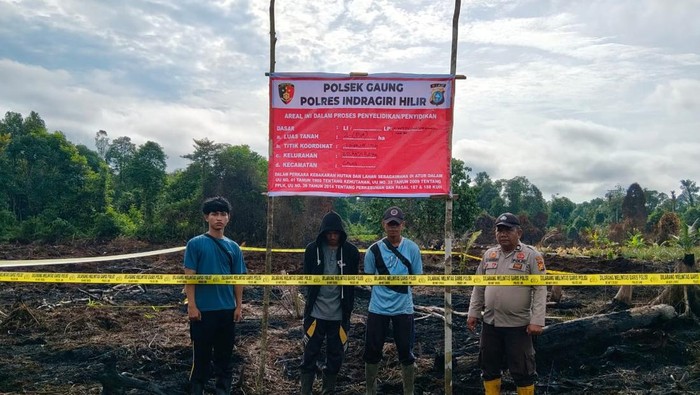 Polres Inhil menangkap pelaku pembakaran 5 hektare lahan, Sabtu (26/7/2025).