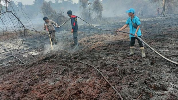 Polres Inhil menangkap pelaku pembakaran 5 hektare lahan, Sabtu (26/7/2025).