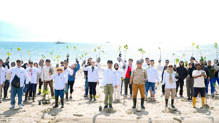 Rembuk Pemuda Sulteng Tanam 70.000 Mangrove di Pesisir Teluk Palu.