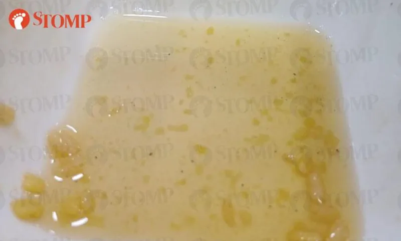 Wanita Komplain Ada Semut di Dessert, tapi Dibantah Pemilik Gerai