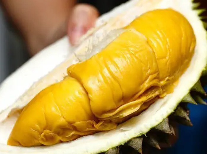 Seorang pedagang durian di kota Puchong, Malaysia mengalami kejadian tak terduga ketika seorang pria tak dikenal datang dengan sepeda motor dan mencuri durian dari lapak jualannya di siang bolong (28/07).