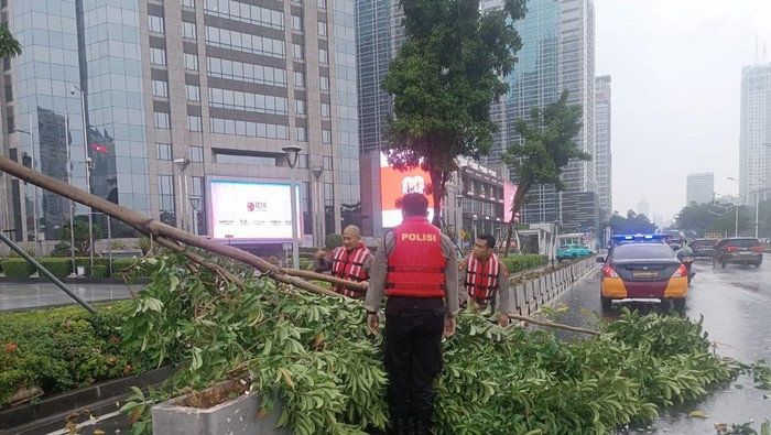 Hujan deras mengakibatkan pohon tumbang di Jalan Jenderal Sudirman, Jakarta Selatan (Jaksel). (Dok istimewa).