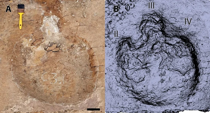 Jejak dinosaurus