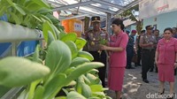 Kapolda menegaskan, penegakan hukum tetap akan dilakukan dengan tegas jika ditemukan pelanggaran. Namun, ia lebih menekankan pentingnya pencegahan. Hary berharap Selumit Pantai terus menjadi kawasan bebas narkoba, dengan komitmen berkelanjutan dari semua pihak.