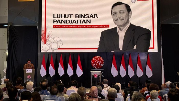 Ketua Dewan Ekonomi Nasional (DEN) Luhut Binsar Pandjaitan.