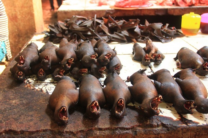 10 Makanan Ekstrem yang Bisa Ditemukan di Indonesia, Berani Coba?