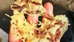 10 Makanan Ekstrem yang Bisa Ditemukan di Indonesia, Berani Coba?