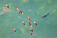 Mangrove Photography Awards  2025