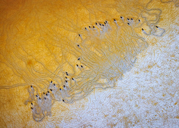 Mangrove Photography Awards  2025