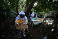 Mangrove Photography Awards  2025