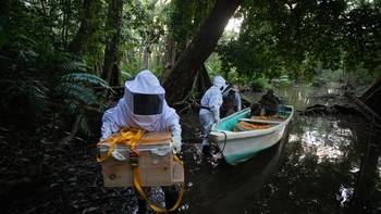 Pemenang kategori People, Conservation & Restoration diraih Ian Rock dari Costa Rica. Foto: Mangrove Photography Awards