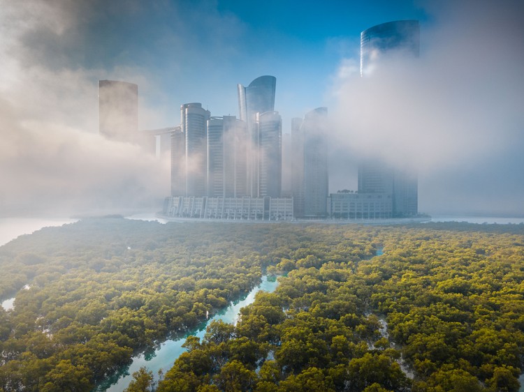Mangrove Photography Awards  2025