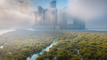 Pemenang kategori pemandangan dari udara diraih Ahmed Badwan dari uni Emirate Arab. Foto: Mangrove Photography Awards