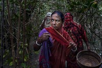 Mangrove Photography Awards  2925