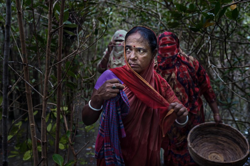 Mangrove Photography Awards  2925