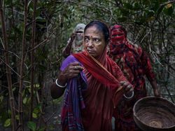 Jawara Kontes Foto Mangrove, Banyak dari Indonesia