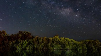 Sepasang buaya Amerika duduk di depan Galaksi Bima Sakti di hutan bakau di Everglades, Florida. Sangat Direkomendasikan dalam kategori Spesies Lain dan Pemenang kompetisi Fotografer Muda diraih Nicholas Hess Foto: Mangrove Photography Awards