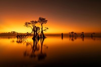 Mangrove Photography Awards  2925