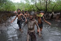 Mangrove Photography Awards  2925