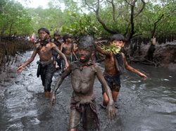 Jawara Kontes Foto Mangrove, Banyak dari Indonesia