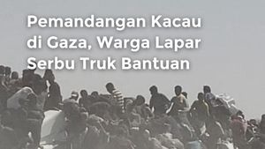 Video: Pemandangan Kacau di Gaza, Warga Lapar Serbu Truk Bantuan!