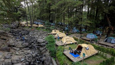 Pesona Hutan Pinus Jolotundo, Destinasi Alam Favorit di Lereng Gunung Wilis