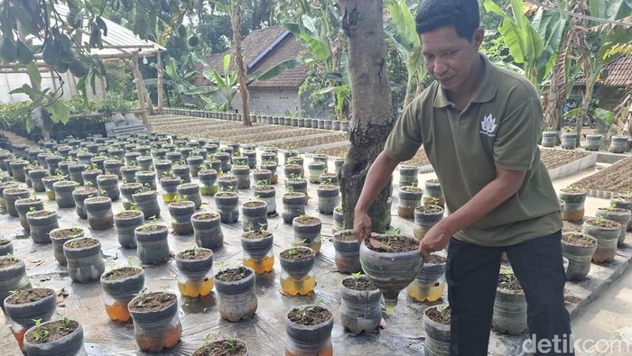Integrated farming Pandawa Patra di Desa Keposong, Kecamatan Tamansari, Boyolali, Senin (28/7/2025).