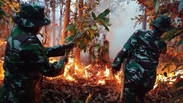 Prajurit TNI saat pemadaman lahan terbakar di Rokan Hulu (Dok Kodim 0313)