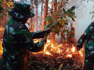 3 Hektare Lahan di Rohul Terbakar, TNI-Warga Berjibaku Padamkan Api