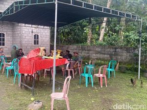 Keluarga Ungkap Pria Tewas Diserang Ayam Aduan Gantungkan Hidup dari Tajen