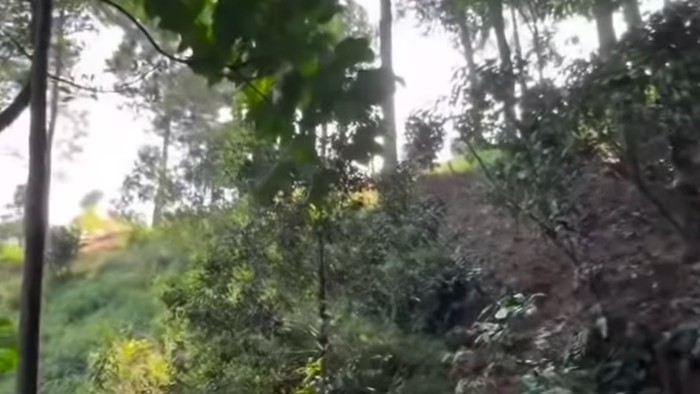 Video dugaan pungli di wisata Bukit Paniisan, Bogor, viral. Turis menghindari pungutan Rp 15 ribu. Disparbud Bogor akan selidiki kebenaran isu ini. (dok Istimewa)
