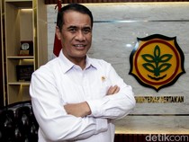Bulog Mau Beli Gabah Petani Nontunai, Mentan Wanti-wanti Ini