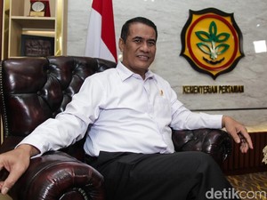 Mentan Waswas RI Bakal 100% Bergantung Susu Impor 3 Tahun Lagi