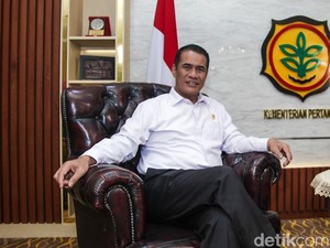 Mentan Prediksi Stok Beras RI Tembus 5 Juta Ton di Mei