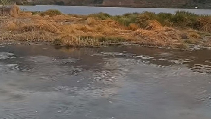 Air di sekitar Danau Toba viral diduga mendidih. (Istimewa)