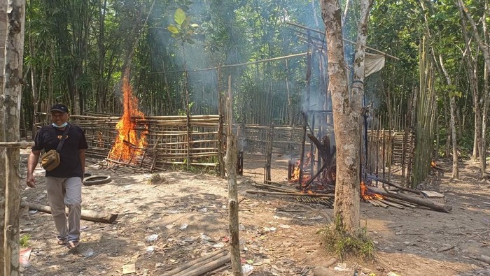Tim gabungan membakar arena perjudian sabung ayam di Desa Belimbing, Kecamatan Silat Hulu, Kabupaten Kapuas Hulu, Kalbar. Sebelumnya, informasi terkait sabung ayam di lokasi tersebut sempat viral.