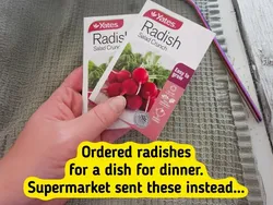 Kumpulan Pengalaman Belanja Online yang Tidak Sesuai Ekspektasi