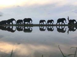 Hal Random Tapi Menarik yang Dibagikan Orang di Internet